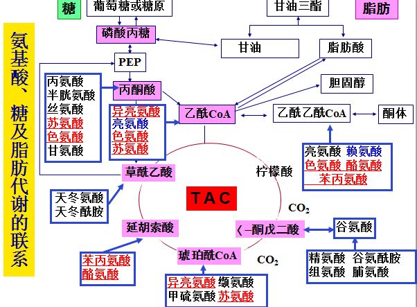 灭菌效果生物/化学指示剂概述