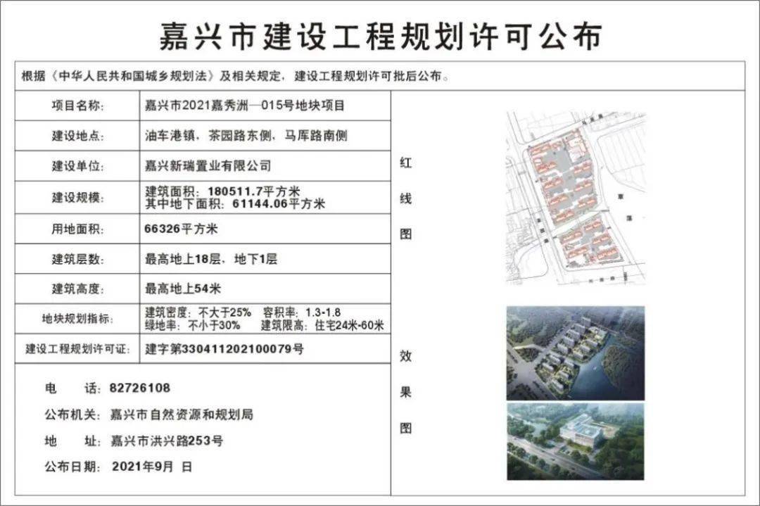 休闲裤最新动态与深度分析