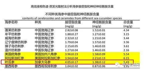 即食海参最新版解读与更新历程回顾