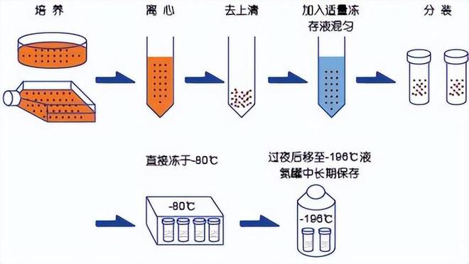 漏水检测最新图片